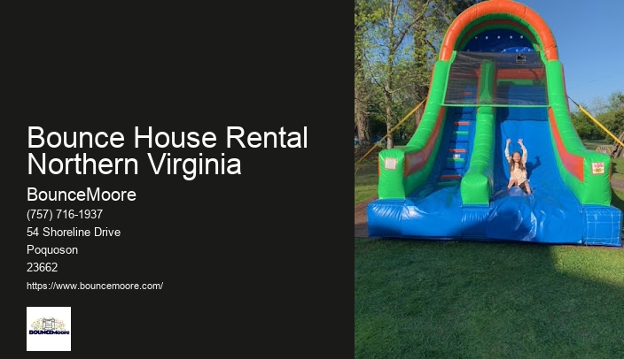 Birthday Party Rentals Virginia