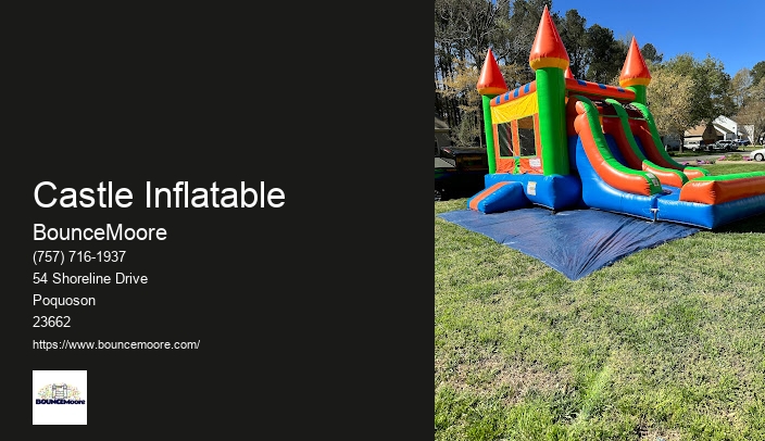 Inflatable Water Slide Rentals