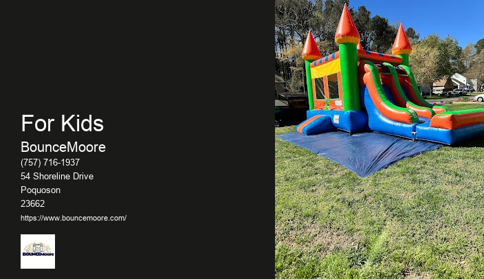 Inflatable Rentals For Adults Near Me