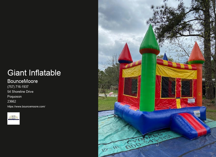 Inflatable Rentals For Birthday Parties