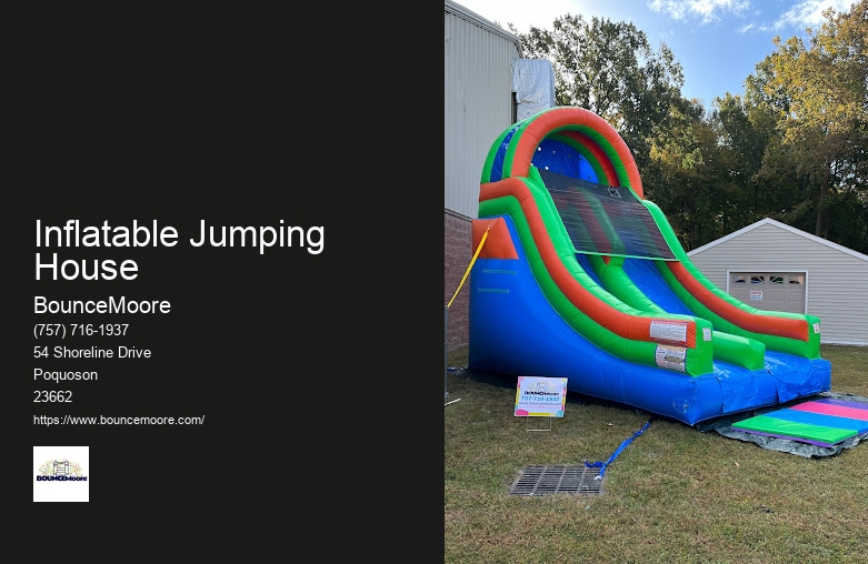 Inflatable Castle Rentals In Newport News Virginia