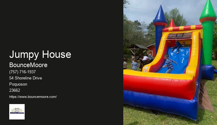 Party Inflatable Rentals