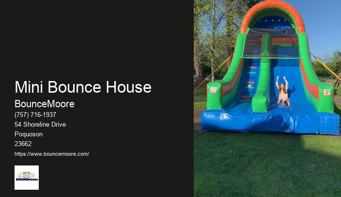 BounceMoore Party Equipment Rental Service In Virginia